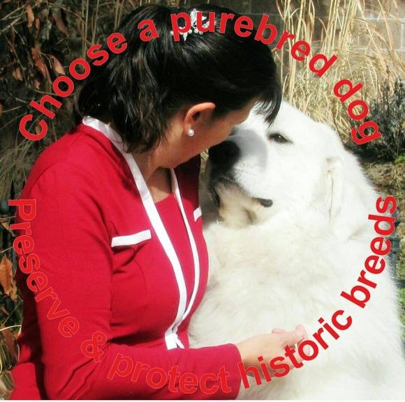 Meet your Posher, Lana - Picture 1 of 1